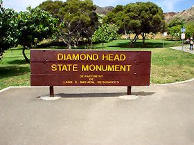 �_�C�������h�w�b�h�o�R��