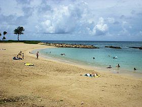 �R�I���i���O�[��