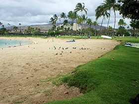 �R�I���i���O�[��