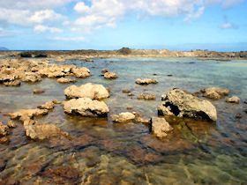 �V���[�N�X�R�[�u