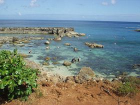 �V���[�N�X�R�[�u