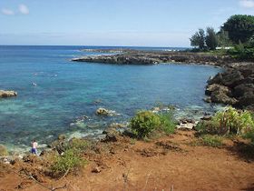 �v�v�P�A�r�[�`