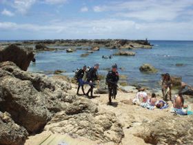 �v�v�P�A�r�[�`�̃_�C�r���O�u�K