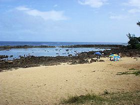 �v�v�P�A�ׂ̗ɂ���V���[�N�X�R�[�u