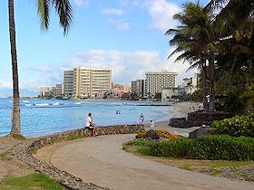 �����̃N�q�I�r�[�`