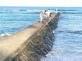 �J�s�I���j�����O�̏���h