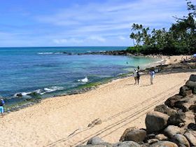 ���j�A�P�A�r�[�`�@�C�T