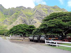 �N�A���A�q��