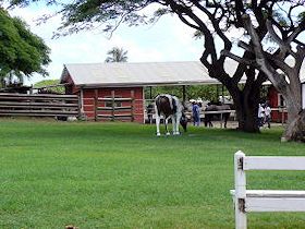 �E�̏�蕨�̓W�����O���c�A�[�̃o�X