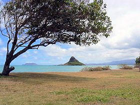 �N�A���A�@�r�[�`�p�[�N�@�`���C�i�}���Y�@�n�b�g