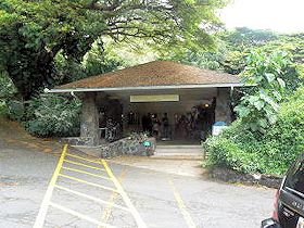 �}�m�A�@���C�I���E�e�B�[�E���[���@����