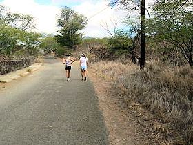 �R�R�E�N���[�^�[�@�n�C�L���O