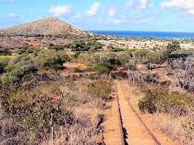 �R�R�E�N���[�^�[�@�n�C�L���O�@