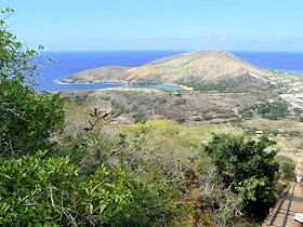 �R�R�E�N���[�^�[�@�n�C�L���O�@�n�i�E�}�p