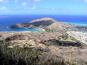 �R�R�N���[�^�[���猩���n�i�E�}�p