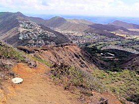 �R�R�E�N���[�^�[�@����