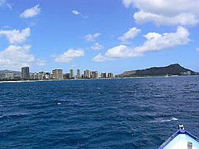 ���C�L�L�����猩���_�C�������h�w�b�h