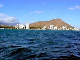 �J�^�}�������猩���_�C�������h�w�b�h