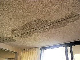 ���C�L�L�E�o�j�����@�����̐��R��