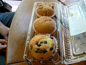 �`�a�b�X�g�A�@�O�F�}�t�B��