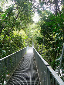 ���X�}���k�J�@�c�A�[�̏I�_�ɂ���݂苴