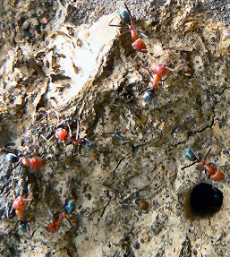 ������o�Ă���A������