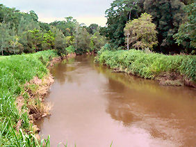 �J���m�n�V�������