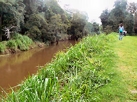 �J���m�n�V�������