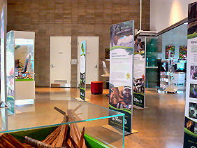 �A�����̃r�W�^�[�Z���^�[�̓W������