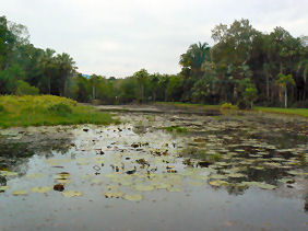 �{�[�h�E�H�[�N�̐�ɂ���r