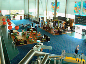 �P�A���Y��`�������r�[