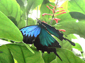 �����V�X�@�I�I�����A�Q�n