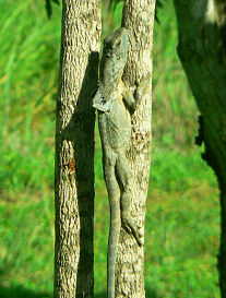 ��s�������T���c�A�[�Ō����G���}�L�g�J�Q