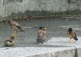 �㊯���̂悤�Ȓ�