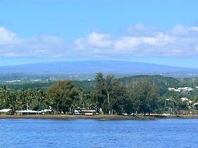 �q���p�z���Ɍ�����}�E�i�P�A�R