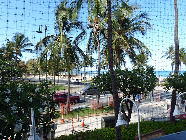 ���悯�l�b�g�z�̃z�m��������������