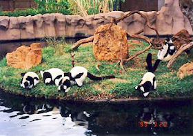 �z�m����������