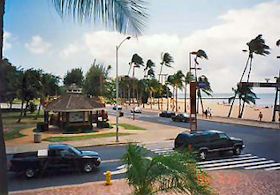 �f�j�[�Y���猩���J�s�I���j����