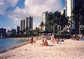 �N�q�I�r�[�`���猩�����C�L�L