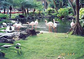 �q���g���n���C�A���r���b�W�̃t���~���S