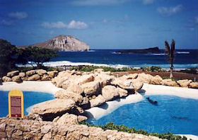 �V�[���C�t�p�[�N���猩�����r�b�g�A�C�����h