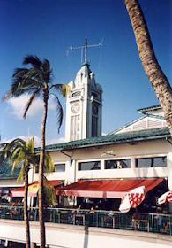 �A���n�^���[