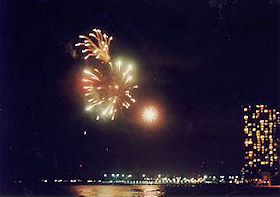 �q���g���̉ԉ�