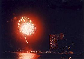 �q���g���̉ԉ�