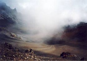 �}�E�C���@�n���A�J���Ό�