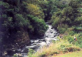 �C�A�I�j�[�h���߂��̌k�J