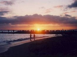 ���C�L�L�̃T���Z�b�g