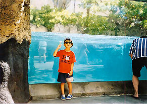 ���C�L�L������