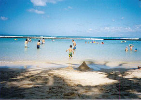 �N�q�I�r�[�`