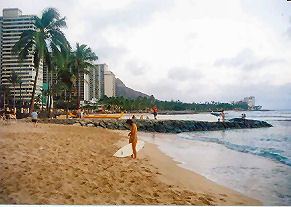 �����̃N�q�I�r�[�`